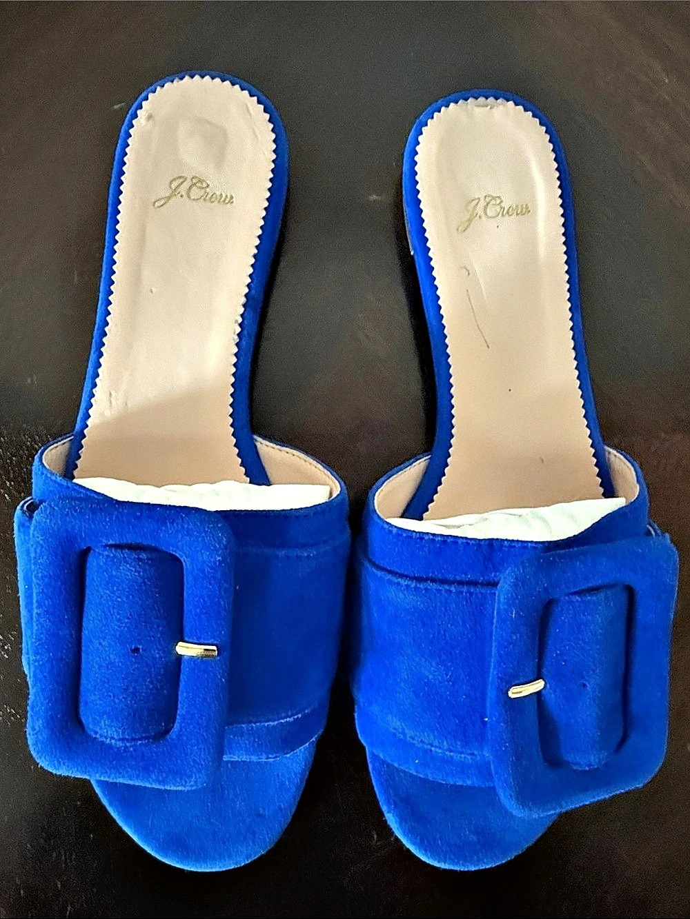 J. Crew Buckle Slide Blue Mules